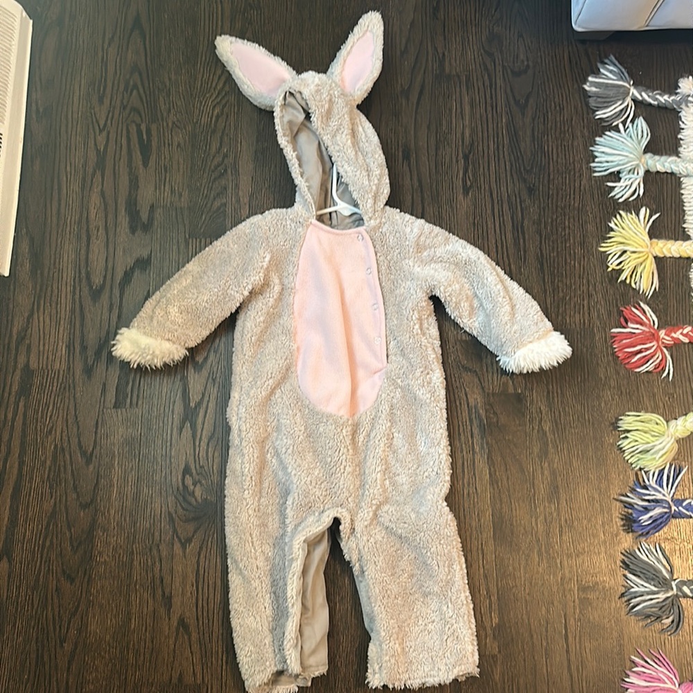 Pottery barn kids bunny Halloween costume